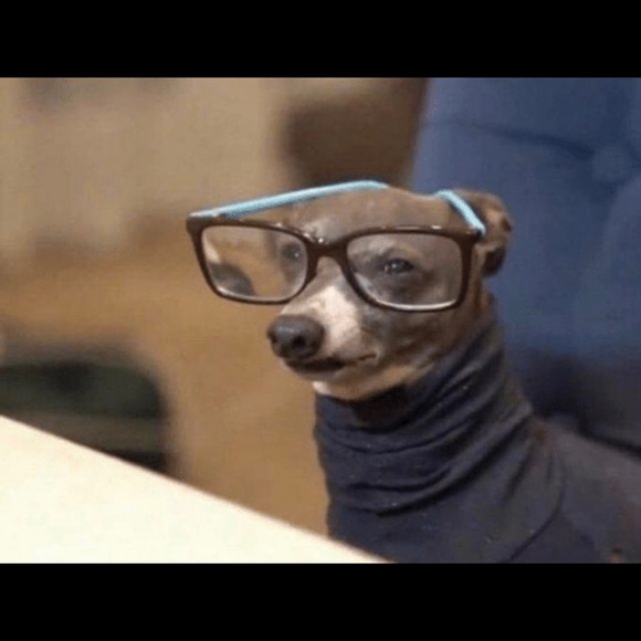 Meet your Posher, Jeron - Picture 2 of 2